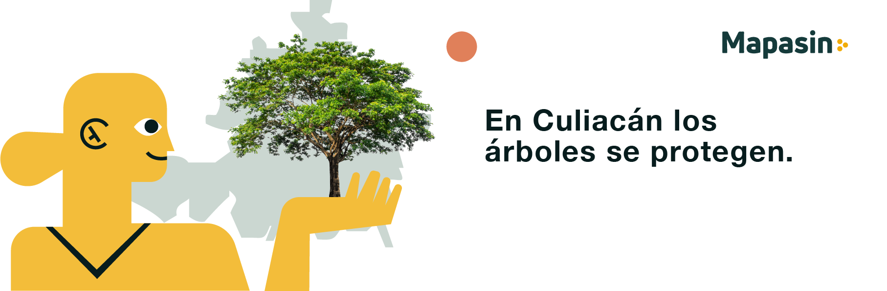 Reglamento sobre árboles en Culiacán