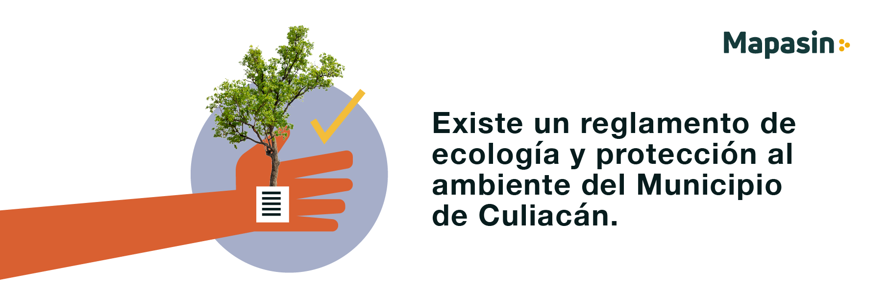 Reglamento municipal sobre árboles en Culiacán